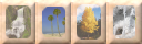 A series of four tiles, each representing a different season. From left to right: spring, summer, autumn and winter